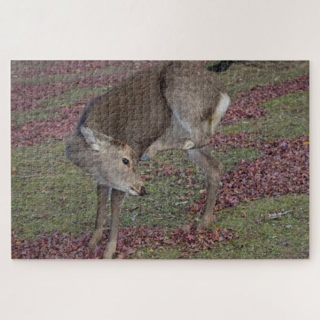 Quebra-cabeça parque de nara 2024 (Horizontal)