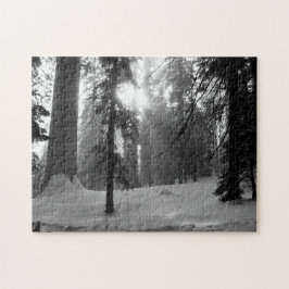 Quebra-cabeça Parque Nacional da Neve de inverno em Kings Canyon