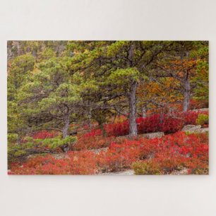 Quebra-cabeça Parque Nacional de Acadia, Maine