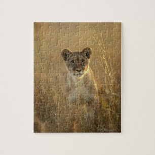 Quebra-cabeça Parque nacional de Cub de leão Hwange, Zimbabwe