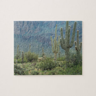 Quebra-cabeça Parque nacional de Saguaro, arizona