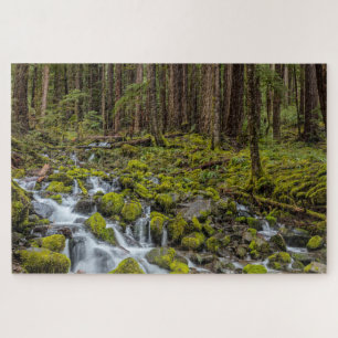 Quebra-cabeça Parque Nacional Olímpico, Estado de Washington