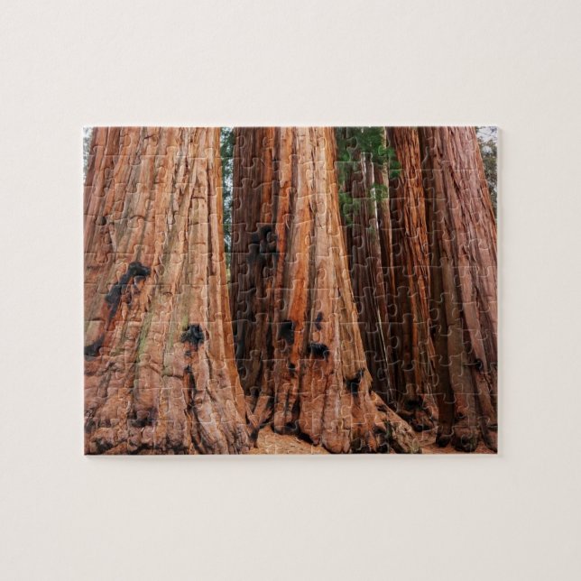 Quebra-cabeça Parque Nacional Sequoia (Horizontal)