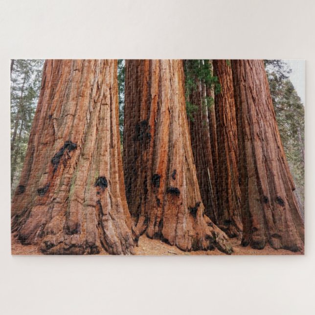 Quebra-cabeça Parque Nacional Sequoia (Horizontal)