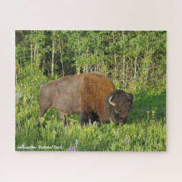 Quebra-cabeça Parque Nacional Yellowstone Bison