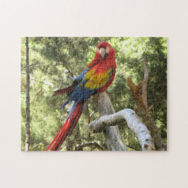 Quebra-cabeça Parrot Bird Tropical Colorida