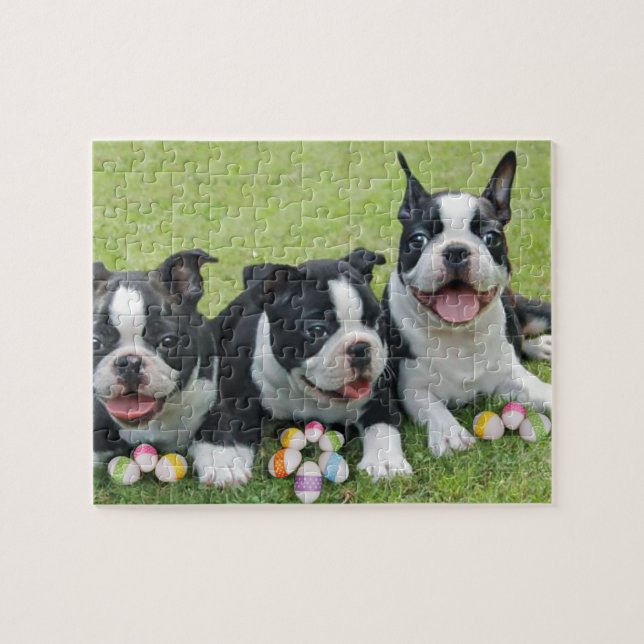 Quebra-cabeça Páscoa de Boston terriers (Horizontal)