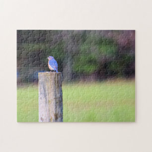 Quebra-cabeça Pássaro azul-montanha - 11x14 polegadas
