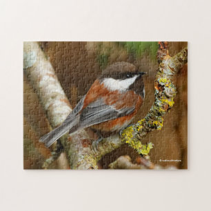 Quebra-cabeça Pássaro Chickadee Bonito De Folha