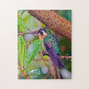 Quebra-cabeça Pássaro da Costa Rica - Hummingbird com gargalhad