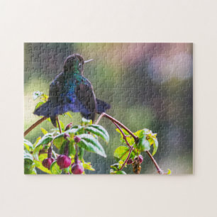 Quebra-cabeça Pássaro da Costa Rica - Hummingbird com gargalhad