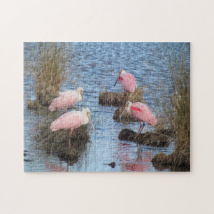 Quebra-cabeça Pássaro de água cor-de-rosa dos Spoonbills do
