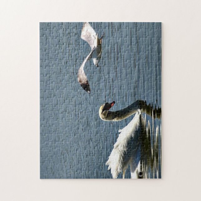 Quebra-cabeça Pássaro e Swan (Vertical)