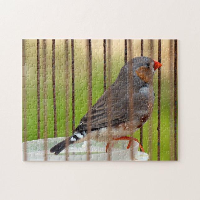 Quebra-cabeça Pássaro Finch Zebra em gaiola (Horizontal)