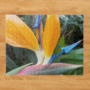 Quebra-cabeça Pássaro Tropical da Planta do Paraíso Floral