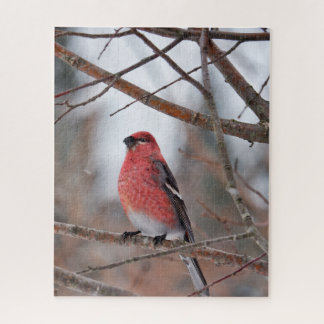 Quebra-cabeça Pássaro Vermelho na Neve de Inverno