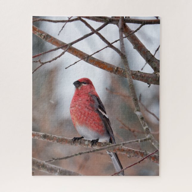 Quebra-cabeça Pássaro Vermelho na Neve de Inverno (Vertical)