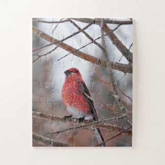 Quebra-cabeça Pássaro Vermelho na Neve de Inverno