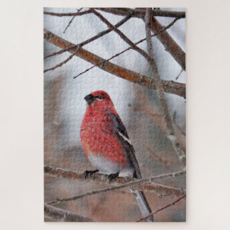 Quebra-cabeça Pássaro Vermelho na Neve de Inverno