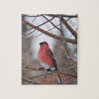 Quebra-cabeça Pássaro Vermelho na Neve de Inverno