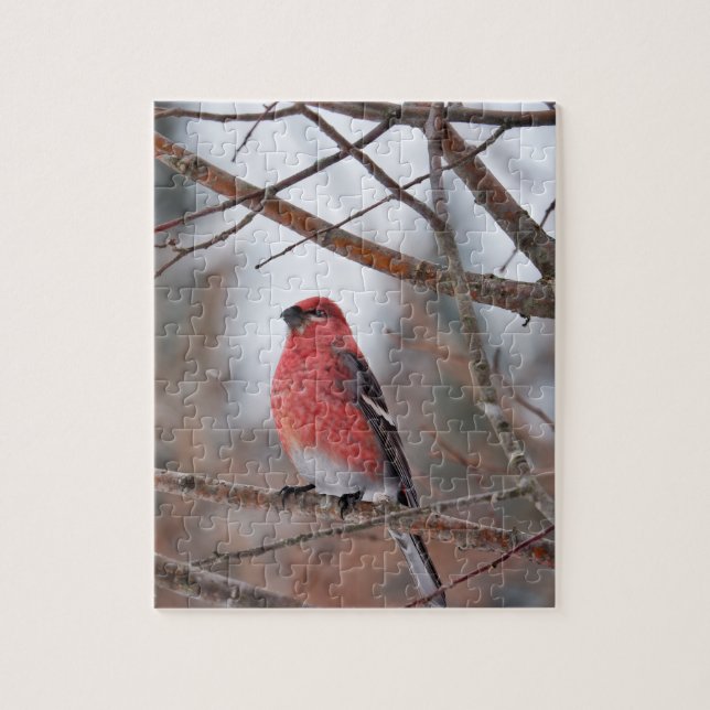 Quebra-cabeça Pássaro Vermelho na Neve de Inverno (Vertical)