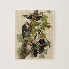 Quebra-cabeça Pássaro Woopecker Pileado de Audubon Vintage