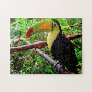 Quebra-cabeça Pássaros de Belize Tucon