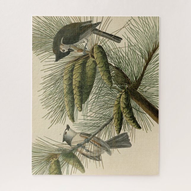 Quebra-cabeça Pássaros de Titmouse da América Crested (Tufted) (Vertical)