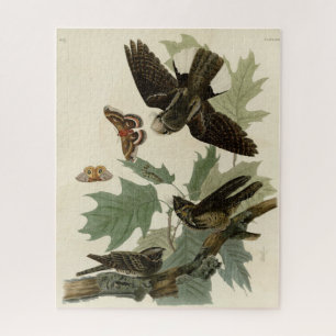 Quebra-cabeça Pássaros do Leste, Pássaros da América de Audubon