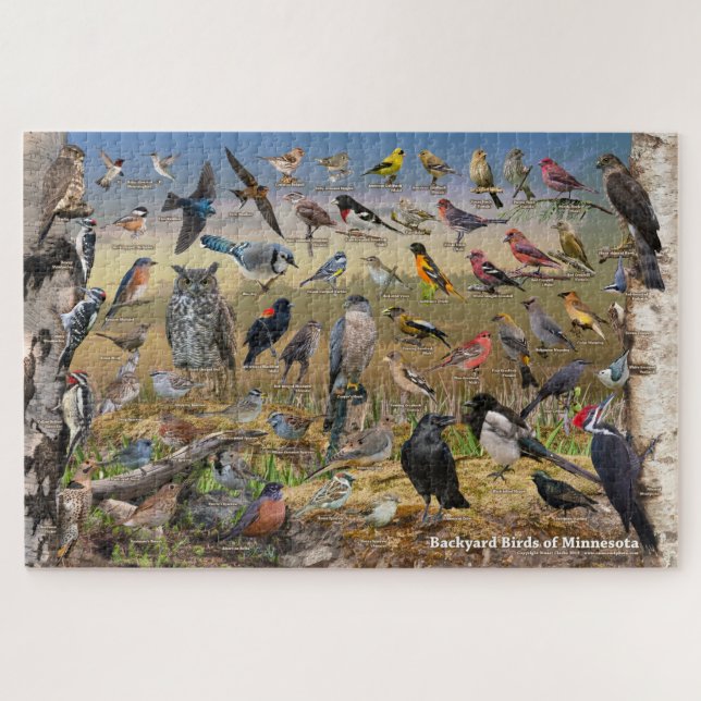 Quebra-cabeça Pássaros do Quintal de Minnesota (Horizontal)