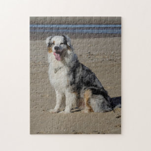 Quebra-cabeça Pastor australiano