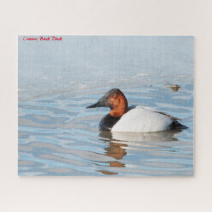 Quebra-cabeça Pato-de-costa-branca