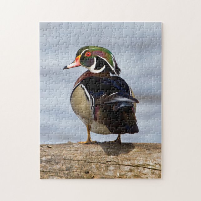 Quebra-cabeça Pato-de-madeira macho em tronco em área úmida (Vertical)