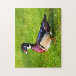 Quebra-cabeça Pato de madeira masculina na grama