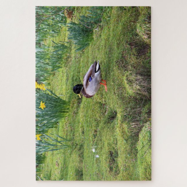 Quebra-cabeça Pato de Mallard na margem de um rio (Vertical)