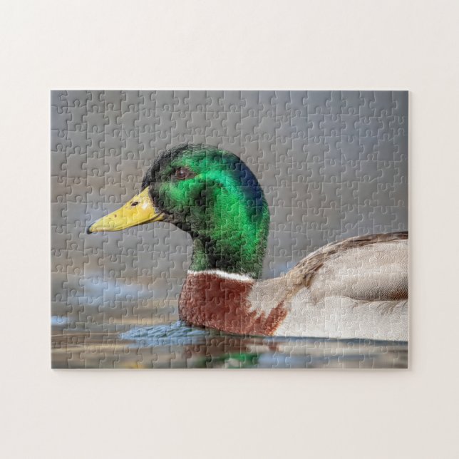 Quebra-cabeça Pato de Mallard no Vale do Hudson (Horizontal)