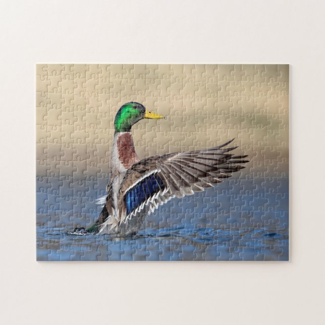 Quebra-cabeça Pato de Mallard no Vale do Hudson (Horizontal)