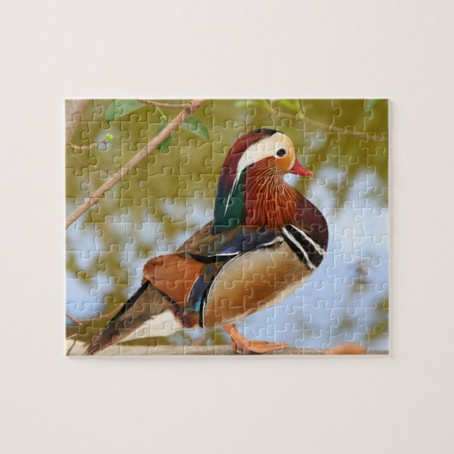 Quebra-cabeça Pato-de-mandarina (Horizontal)