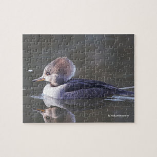 Quebra-cabeça Pato de Merganser Hooded na Pond