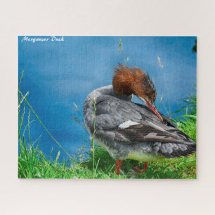 Quebra-cabeça Pato Merganser