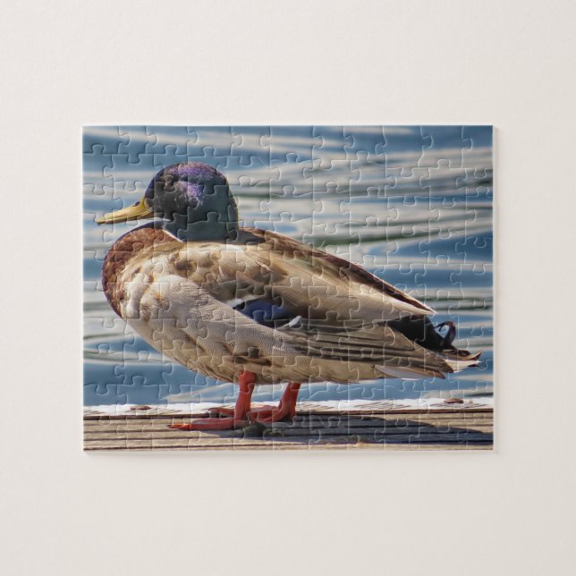 Quebra-cabeça Pato Pelo Mar (Horizontal)