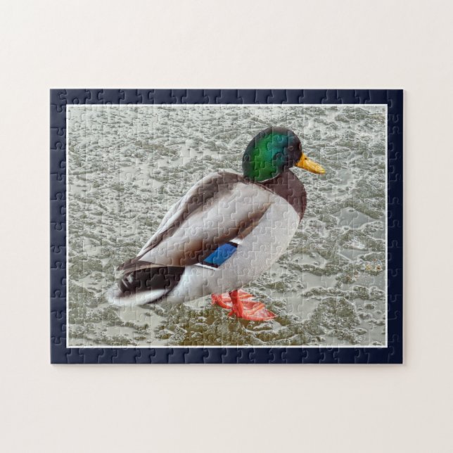 Quebra-cabeça Pato-real na Superfície Congelada do Lago (Horizontal)