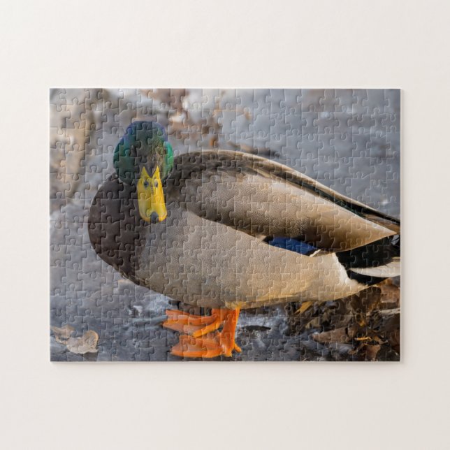 Quebra-cabeça Pato-real no Gelo (Horizontal)