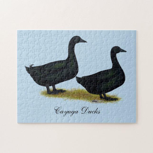 Quebra-cabeça Patos: Black Cayugas (Horizontal)