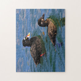 Quebra-cabeça Patos de scoter Surf masculina e feminina no píer