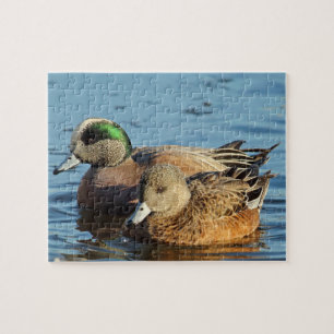 Quebra-cabeça Patos de Widgeon Americano (Drake e Hen)