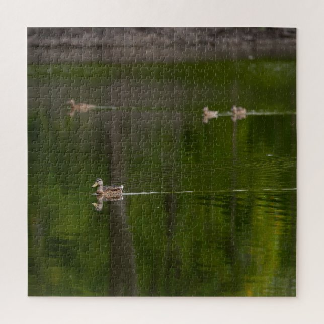 Quebra-cabeça Patos em um Lago Verde (Vertical)