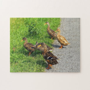 Quebra-cabeça Patos Engraçados