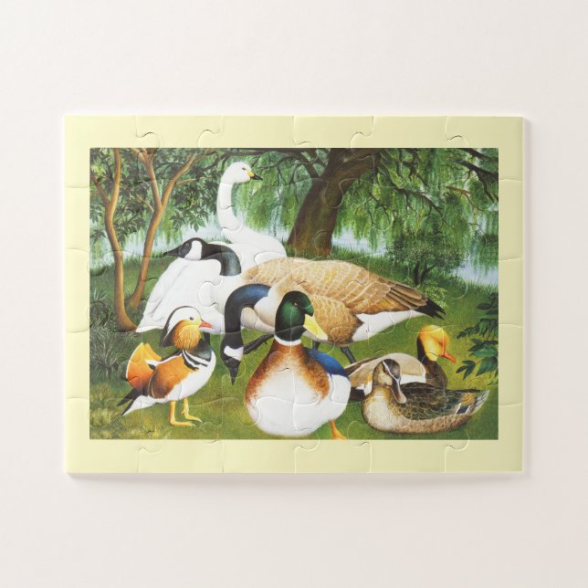 Quebra-cabeça Patos, gansos e pássaros cisnes (Horizontal)