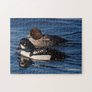 Quebra-cabeça Patos Goldeneye da Barrow em Stanley Park Seawall